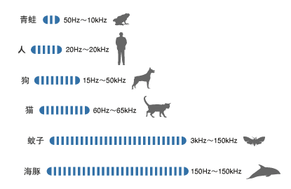 音频范围不同生物体